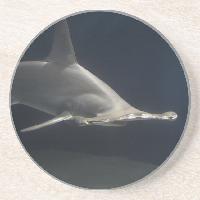 Hammerhead Shark Coaster (Front)