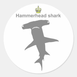 Hammerhead shark g5 classic round sticker
