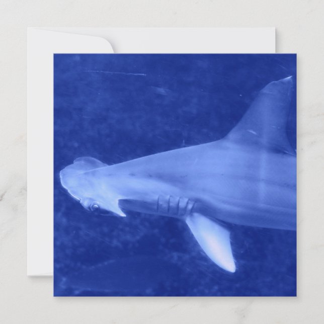 Hammerhead Shark  Invitations (Front)