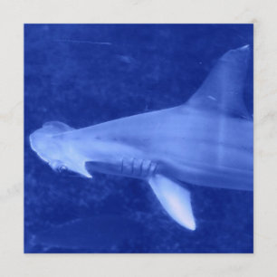 Hammerhead Shark Invitations