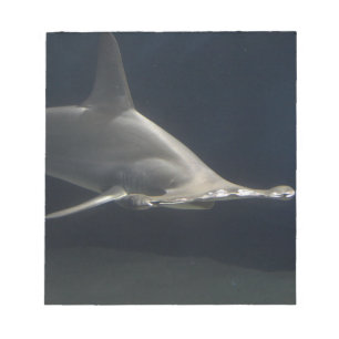 Hammerhead Shark Notepad