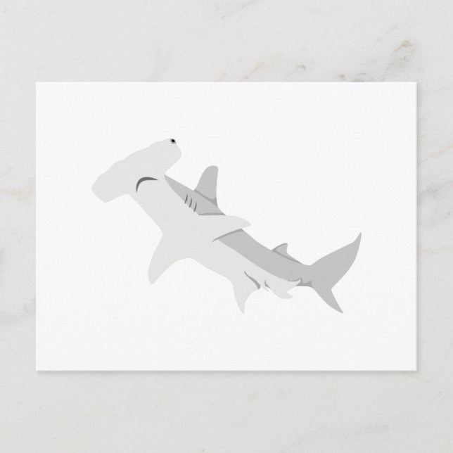 Hammerhead Shark Postcard (Front)