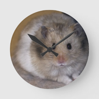 Hammie Clock