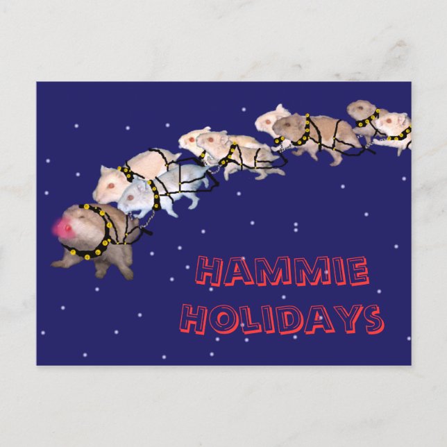 Hammie Holidays Holiday Postcard (Front)