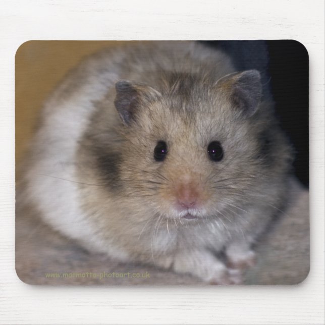 Hammie Mousemat (Front)