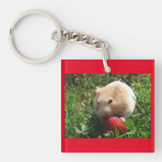 Hammies With Strawberries Key Ring (Front)