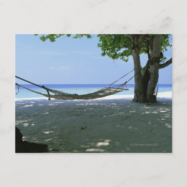 Hammock 2 postcard (Front)