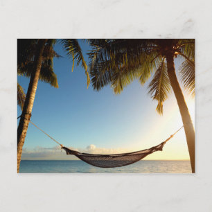 Hammock Between Palm Trees on Tropical Beach Postcard