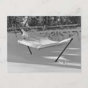 Hammock in the Snow Postcards