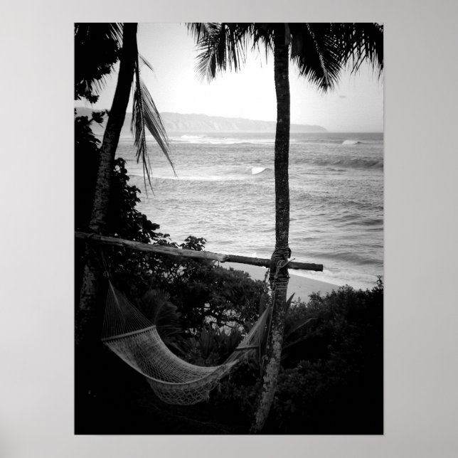 Hammock Overlooking the North Shore Poster (Front)