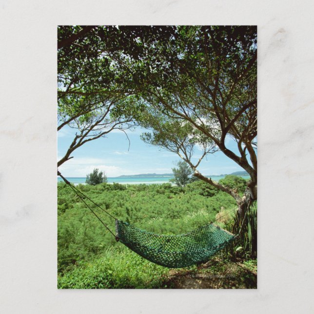 Hammock Postcard (Front)