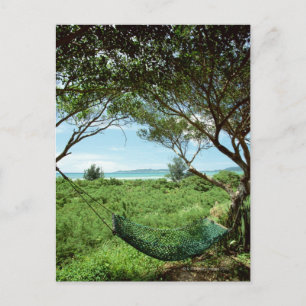 Hammock Postcard