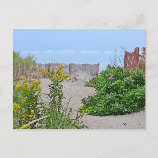 Hammonasset Beach Postcard (Front)