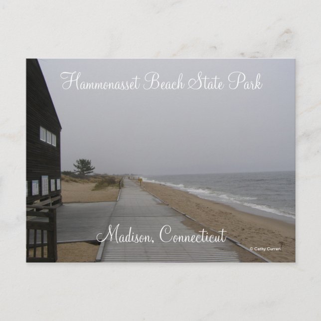 Hammonasset Beach State Park Postcard (Front)