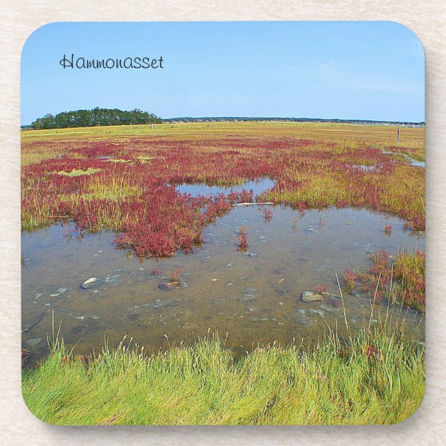 Hammonasset Coaster (Front)