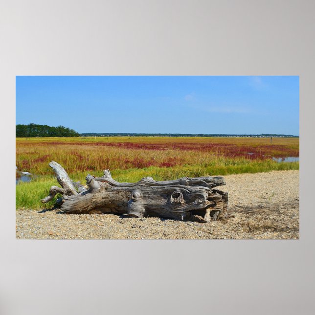 Hammonasset Driftwood Poster (Front)