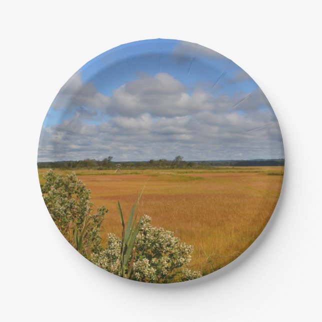 Hammonasset Marsh Paper Plate (Front)