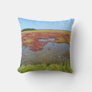 Hammonasset Marsh Pillow