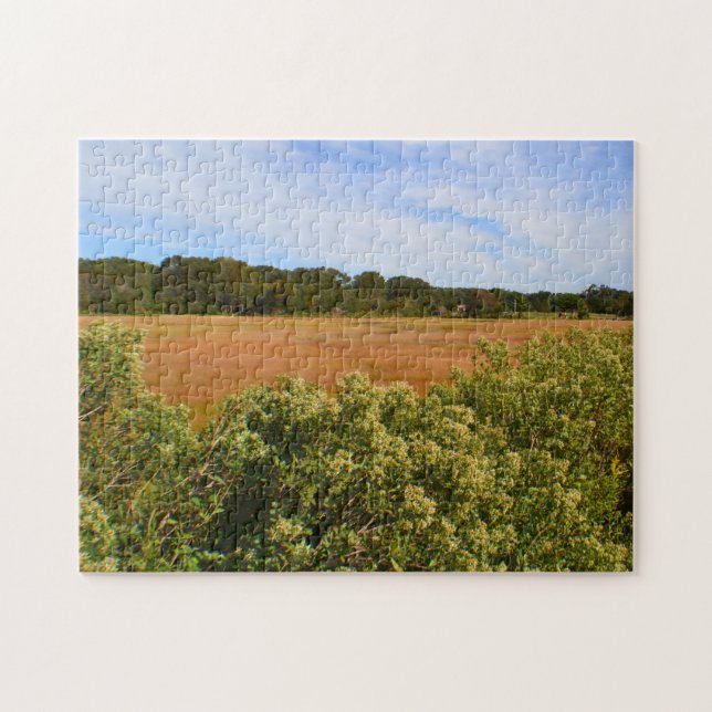 Hammonasset Marsh Puzzle (Horizontal)