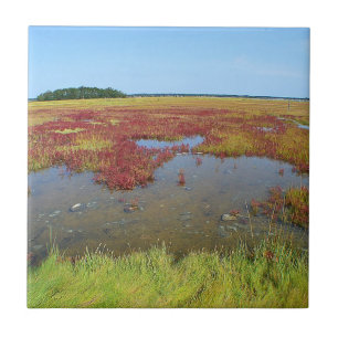 Hammonasset Marsh Tile