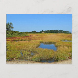 Hammonasset Postcard