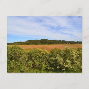 Hammonasset Postcard