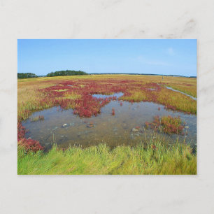 Hammonasset Postcard