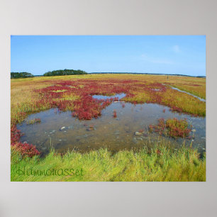 Hammonasset Poster