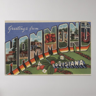 Hammond, Louisiana - Large Letter Scenes Poster