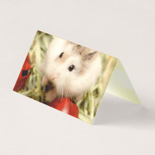 Hammyville - Cute Hamster