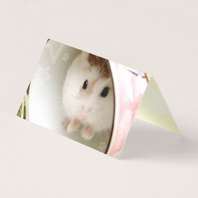 Hammyville - Cute Hamster (Front)