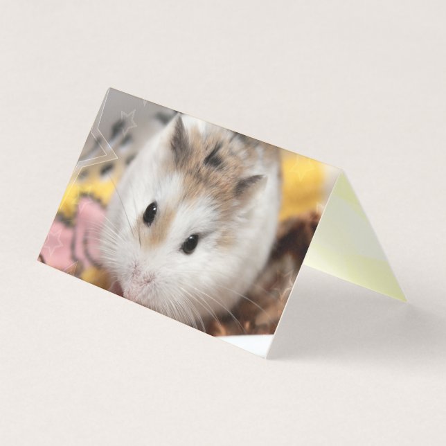 Hammyville - Cute Hamster (Front)