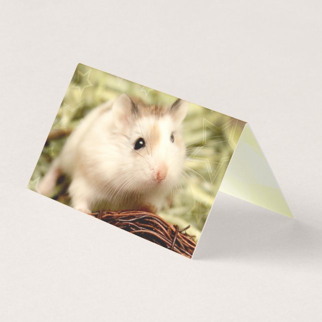 Hammyville - Cute Hamster (Front)