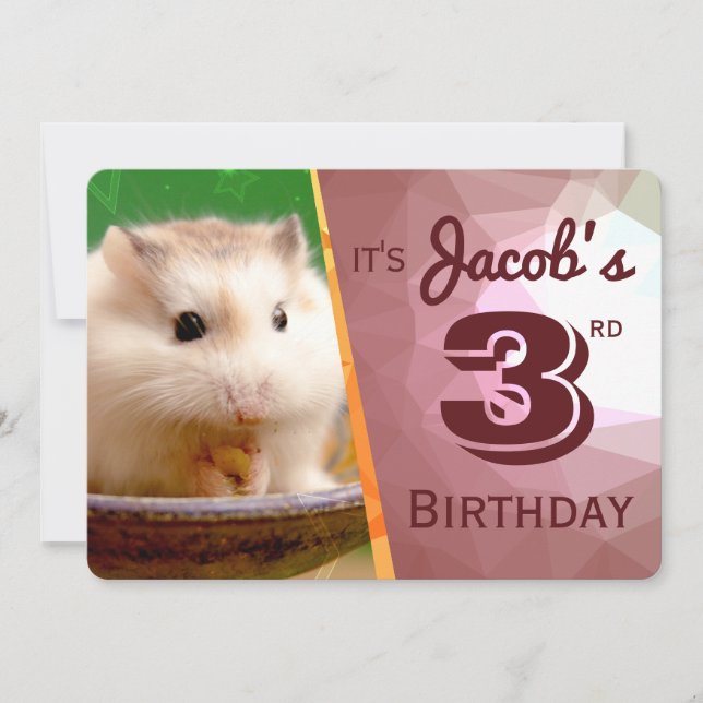 HammyVille - Cute Hamster Birthday Invitation Card (Front)