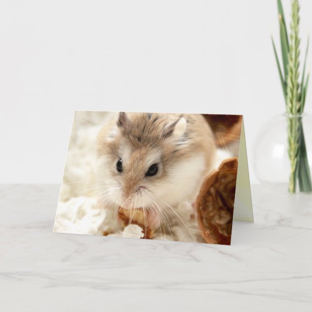 Hammyville - Cute Hamster Card (Front)