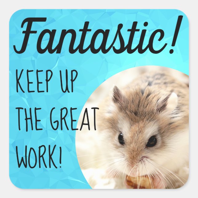 HammyVille - Cute Hamster Fantastic Great Work Square Sticker (Front)