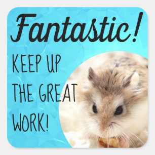HammyVille - Cute Hamster Fantastic Great Work Square Sticker