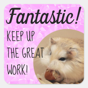 HammyVille - Cute Hamster Fantastic Great Work Square Sticker