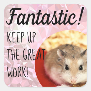 HammyVille - Cute Hamster Fantastic Great Work Square Sticker