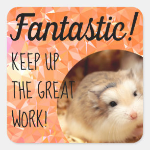 HammyVille - Cute Hamster Fantastic Great Work Square Sticker
