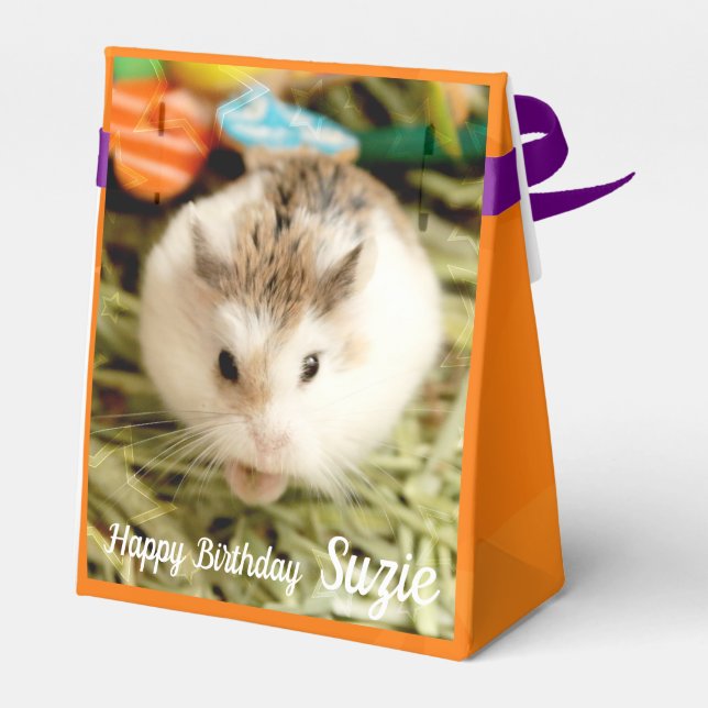 Hammyville - Cute Hamster Favour Box (Back Side)