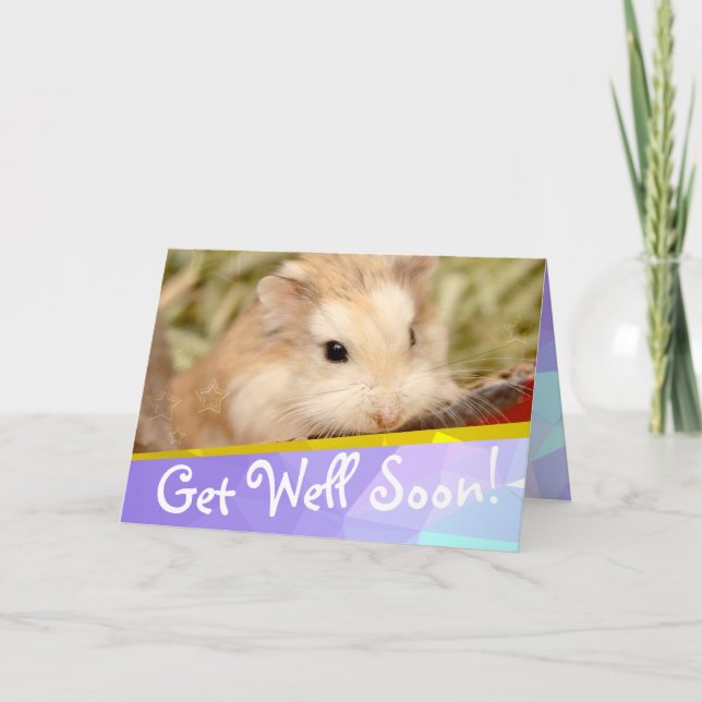 Hammyville - Cute Hamster Get Well Soon Card (Front)