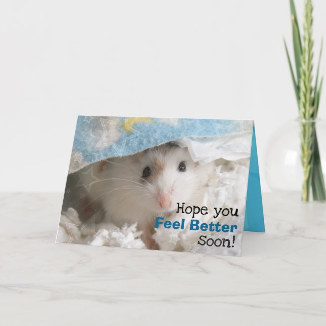 Hammyville - Cute Hamster Get Well Soon Card (Front)