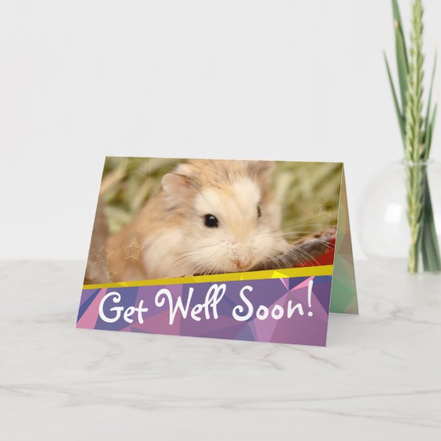 Hammyville - Cute Hamster Get Well Soon Card (Front)