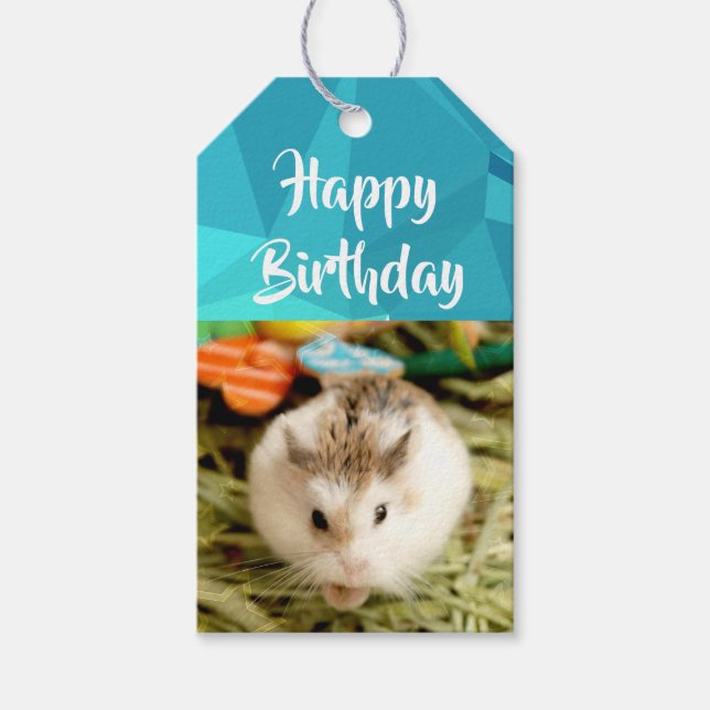 Hammyville - Cute Hamster Gift Tags (Front)