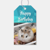 Hammyville - Cute Hamster