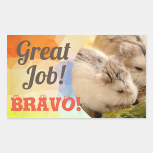 HammyVille - Cute Hamster Great Job Bravo Rectangular Sticker