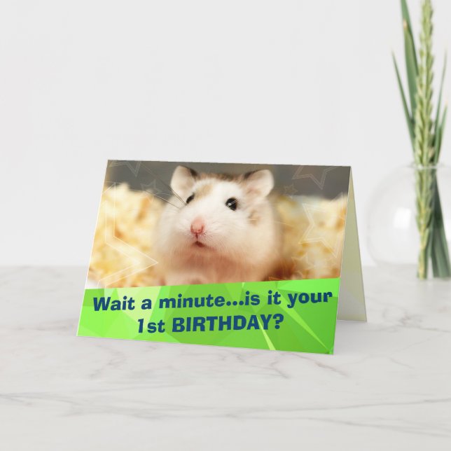 Hammyville - Cute Hamster Happy Birthday Card (Front)
