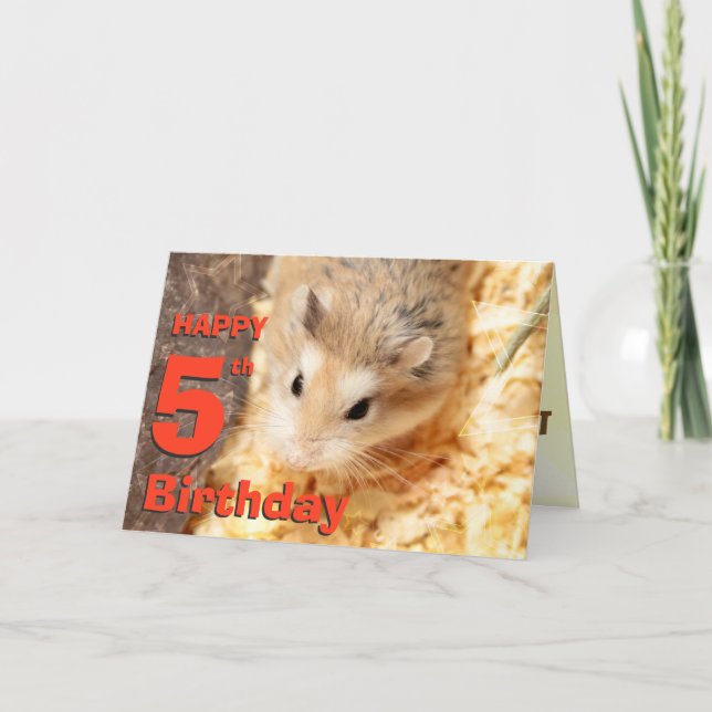 Hammyville - Cute Hamster Happy Birthday Card (Front)