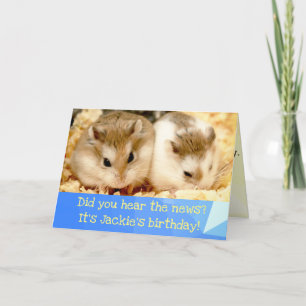 Hammyville - Cute Hamster Happy Birthday Card